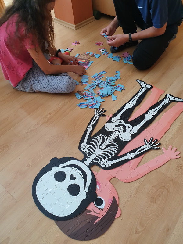 Naučné puzzle Lidské tělo